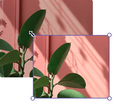 Resize JPEG Online - Free JPEG Resizer Tool