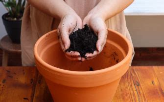 The Perfect Potting Soil Mix For Growing Tomatoes In Pots - Tomato Bible