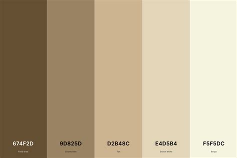 25+ Best Beige Color Palettes with Names and Hex Codes – CreativeBooster