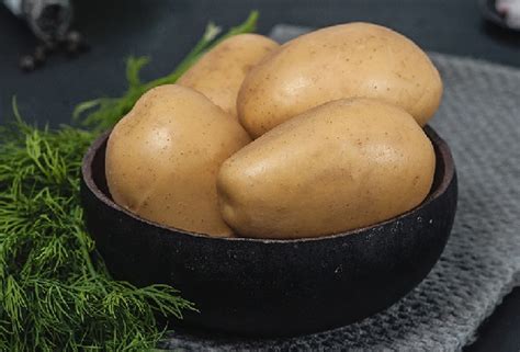 Картофель Доната: описание и характеристики, особенности посадки и ...