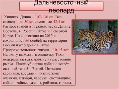 Рассказ о животном из красной книги 5 класс биология