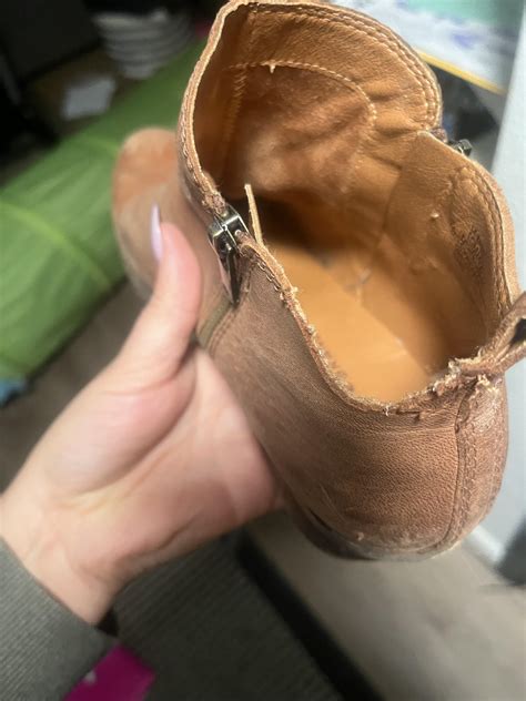 Get a rabbit they said. Rabbits don’t eat shoes they said : r/Rabbits