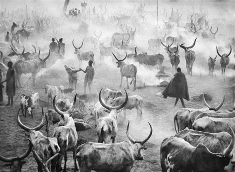 ФОТОГРАФ СЕБАСТИО САЛЬГАДО (SEBASTIAO SALGADO) - Світ навколо - Стрічка ...