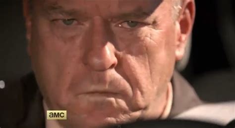 Hank Schrader - Breaking Bad - Hank Schrader Photo (36838912) - Fanpop