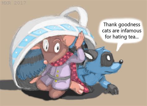 raccoon reader review