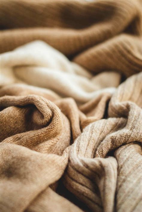 The benefits of choosing cashmere clothing - Growing Family