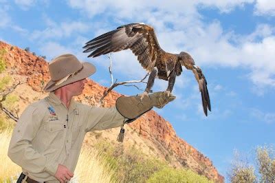 Explore the Fascinating Alice Springs Desert Park