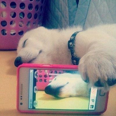 Прикольные селфи. — ОФИСНЫЙ ПЛАНКТОН