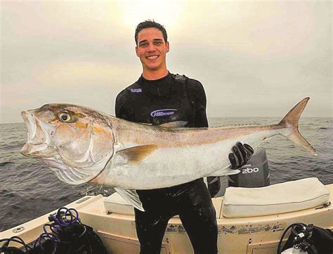 amberjacks coastal angler  angler magazine