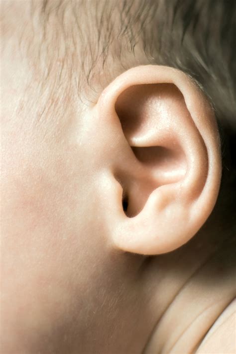 ear pictures