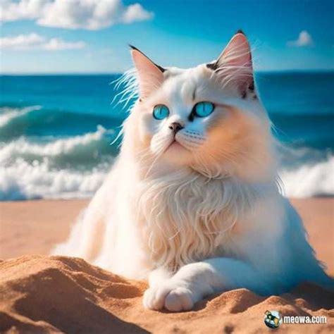 Top 12 Best Outdoor Cat Breeds For Unforgettable Adventures