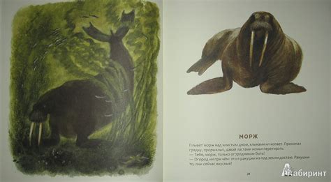 Книга: Кто в море живет - Святослав Сахарнов. Купить книгу, читать ...