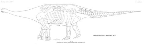 Opisthocoelicaudia Pictures & Facts - The Dinosaur Database