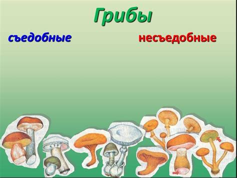 Картинки съедобные и несъедобные грибы