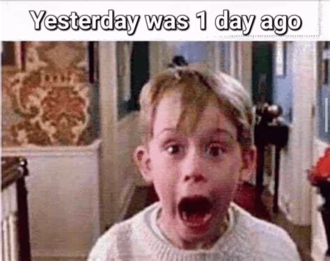 topic meme home  rpibbyfancommunity