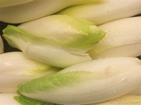 7 Health Benefits Of Endive