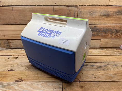 Small Cooler Comparison at Ana Means blog