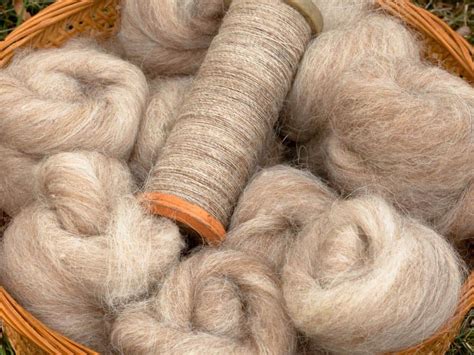 Advantages Of Wool And Its Ideal Clothing Applications