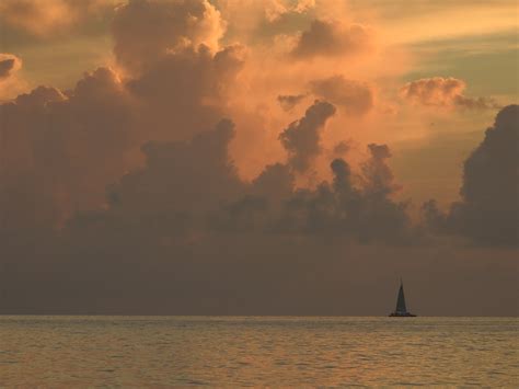 A shocking audrey dalton interview reveals golden age secrets 14