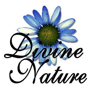 What young womens is about: Divine Nature the 2nd value