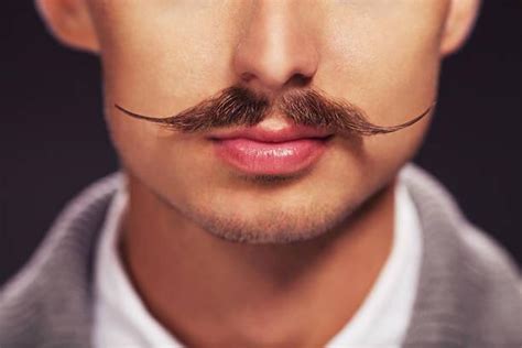 O Que Significa Bigode - Quais são os Principais Estilos de Bigode