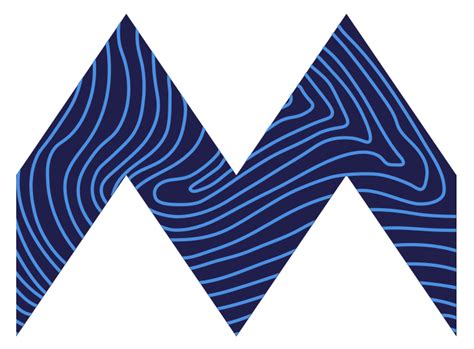 McDonald Strategy Partners | msp-logo