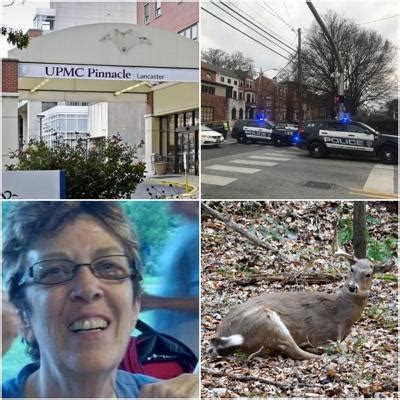 Top 5 most-read stories from last week [In Case You Missed It] | Local ...