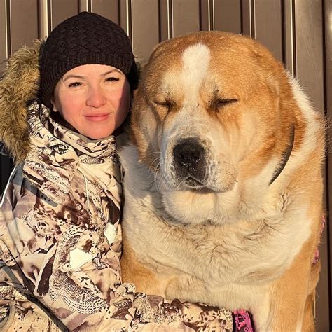 Alabai,The Central Asian shepherd dog. : r/BeAmazed