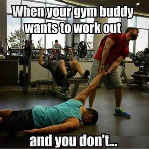 65 Funny Gym Quotes and Sayings Of All Time – DailyFunnyQuote