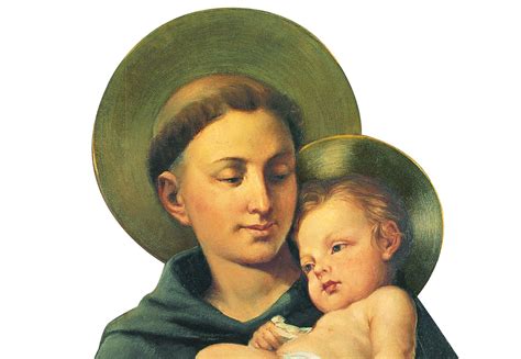 Saint Antoine, l’ami fidèle | Messager de saint Antoine
