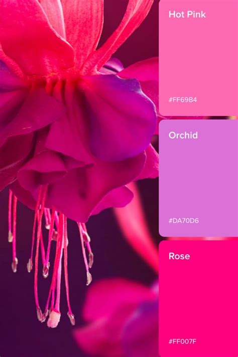 magenta rgb cmyk hex color codes  color meaning