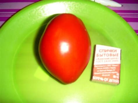 Томатное шоу: любимые сорта помидор : Дачная жизнь
