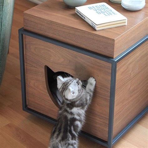 Дизайн, который нравится. Запись со стены. | Товары для животных ...