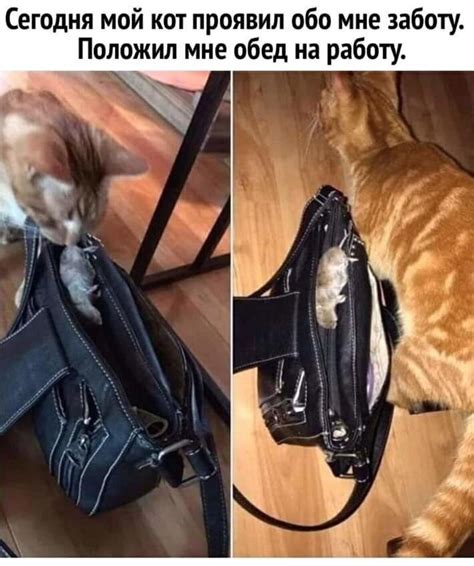 Новые смешные картинки / Приколы