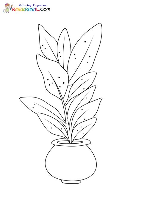 Imagens De Plantas Para Colorir - 7
