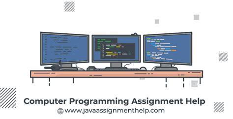 computer programming assignment