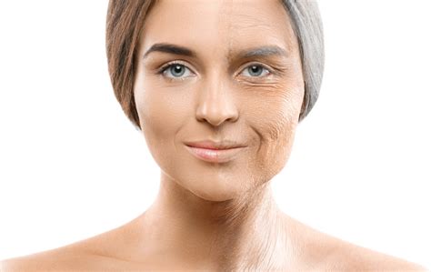 generations perceive ageing fmt