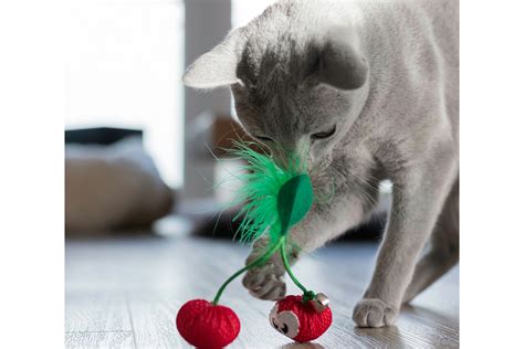 Petstages Dental Cherries online kopen? → Dierencompleet.nl