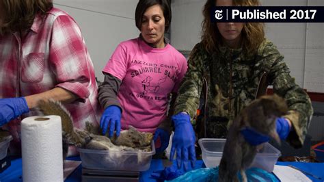 A ‘Squirrel Slam’ Lures Hunters and Protesters to Western New York