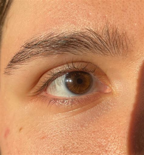 eyes  brown    central heterochromia reyes