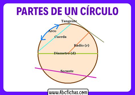Como Se Escreve Círculo - Estructura y Partes del Círculo y de la Circunferencia
