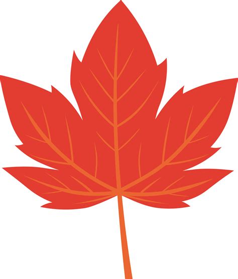 temperate deciduous forest illustration 9504890 Vector Art at Vecteezy