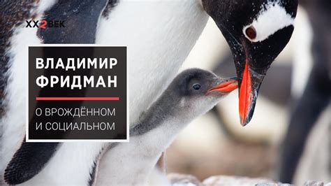 Владимир Фридман: Соотношение социального и врождённого - YouTube
