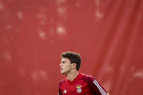 Antes de sair do Benfica, João Neves é alvo de elogios: "Tirando a cara