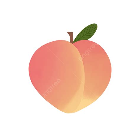 persik png vector psd  clipart  transparent background