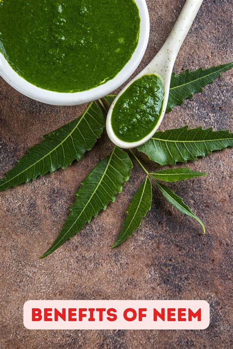 Watermelon vs Cantaloupe: Understanding the Difference and Health