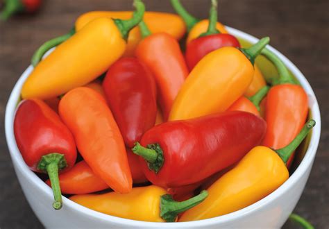 Chillies and sweet peppers masterclass: best expert content | Thompson ...