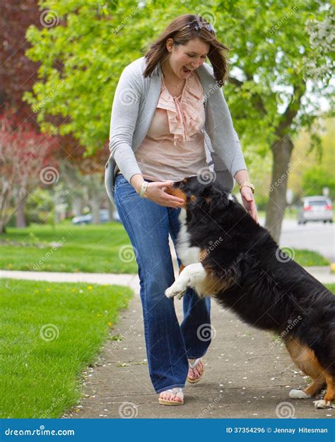 Mujeres y perro foto de archivo. Imagen de sonrisa, caminar - 37354296