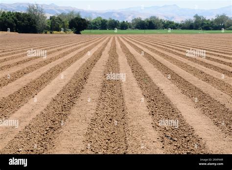 land  pattern  res stock photography  images alamy