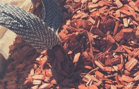 The Best Mulch For Dogs 2022 - Safe And Unsafe Mulches For Pets ...